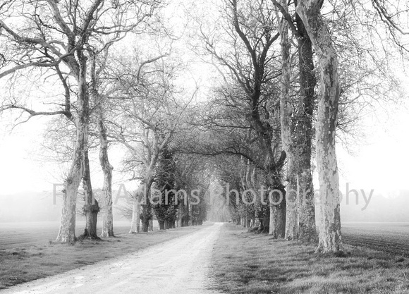 The Road less Travelled,  Loire Valley,  France