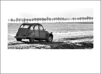 Deux Chevaux, France (REORDER #13)